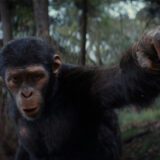 Kingdom of the Planet of the Apes ajunge pe Disney+ în curând